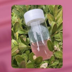 Дебондер для очищення пінцетів